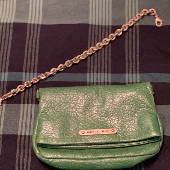 Juicy Couture small green leather purse/clutch - Picture 3 of 6